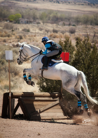 Horse Trials Course Photos